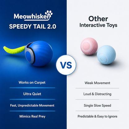 Speedy Tail 2.0