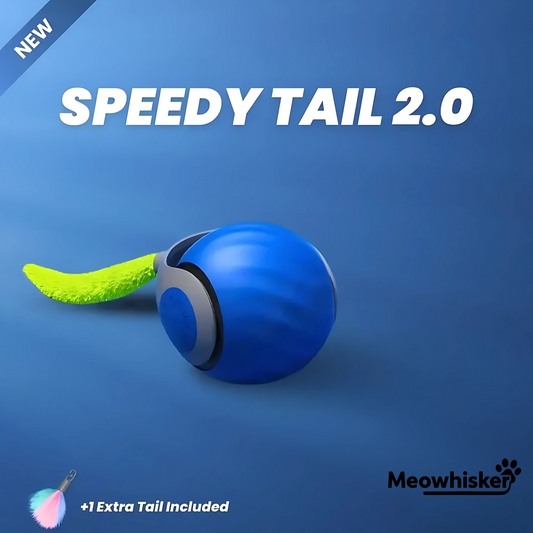 Speedy Tail 2.0