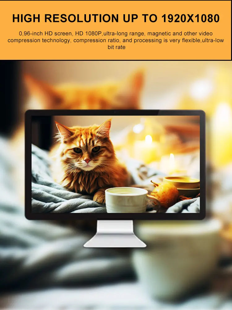 WhiskerView 1080p video quality graphic shown on a monitor