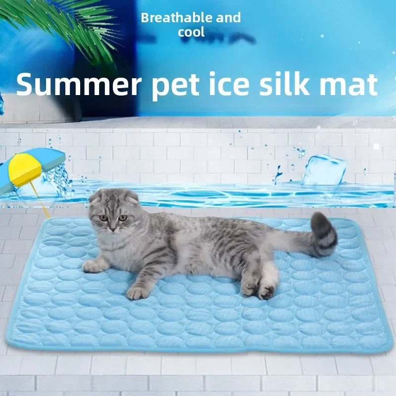 Gray cat resting on a blue CoolNest cooling mat