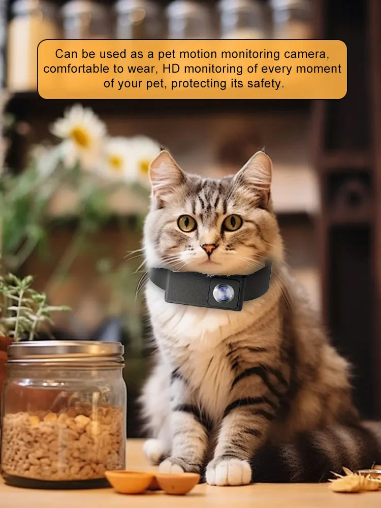 Tabby cat wearing the WhiskerView collar camera with pet monitoring message