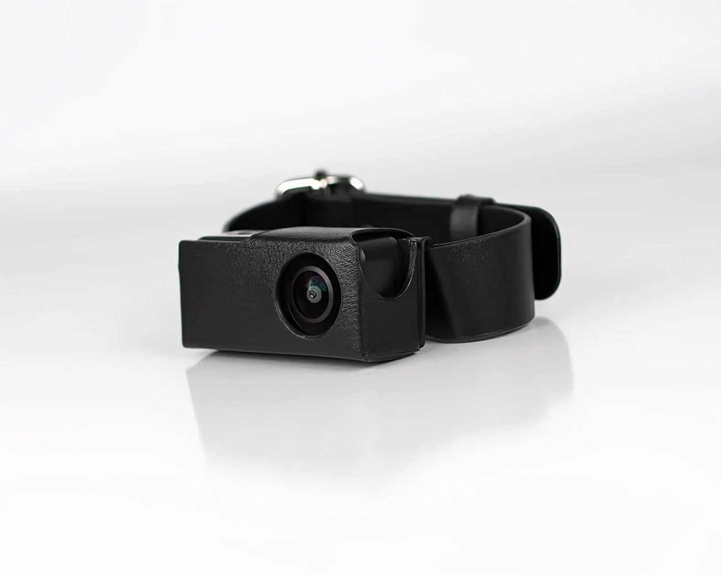 Black WhiskerView cat collar camera and adjustable collar on white background