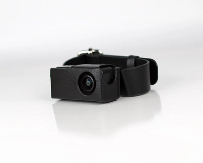 Black WhiskerView cat collar camera and adjustable collar on white background
