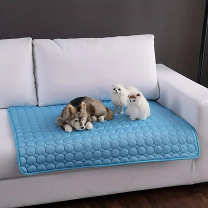 Cat and kittens resting on a blue CoolNest cooling mat on a sofa