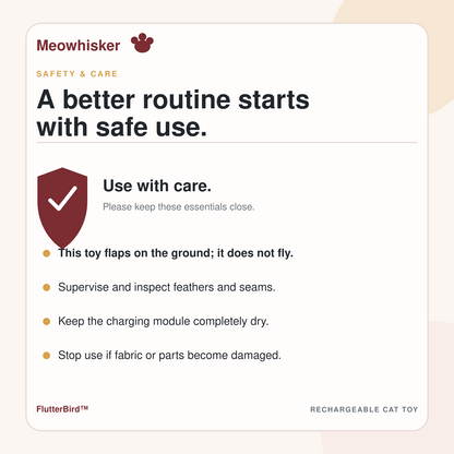 FlutterBird ground-use explanation, supervision, fabric inspection, and charging-module care