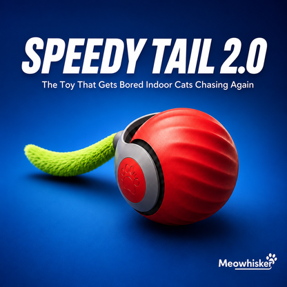Speedy Tail 2.0