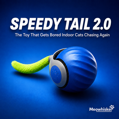 Speedy Tail 2.0